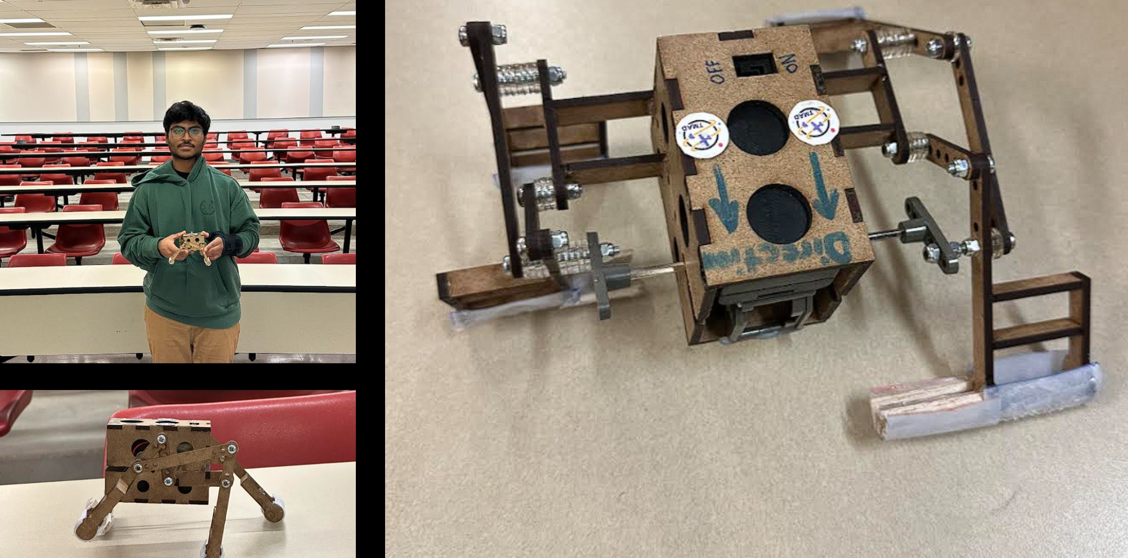 Walking Robot Project